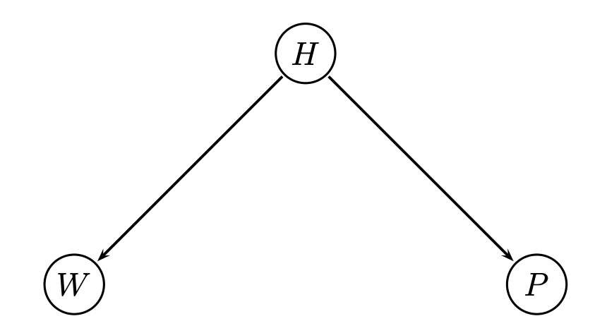 graph_representation